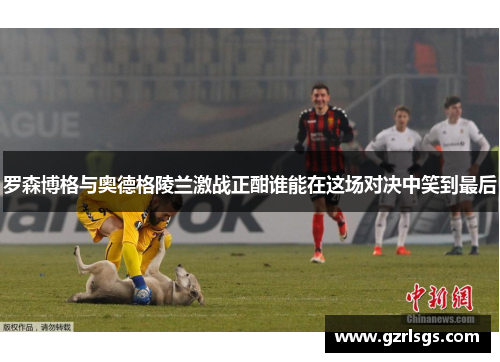 罗森博格与奥德格陵兰激战正酣谁能在这场对决中笑到最后